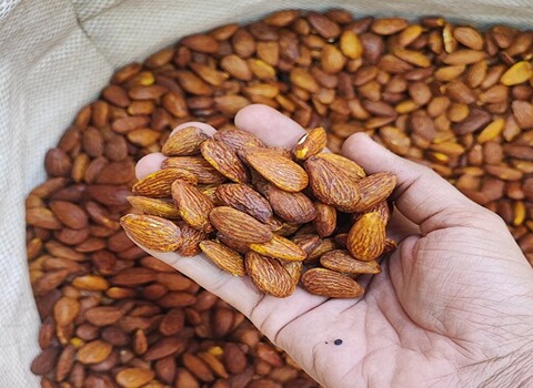 تصویر 4 از قیمت خرید مغز بادام بو داده + فروش ویژه